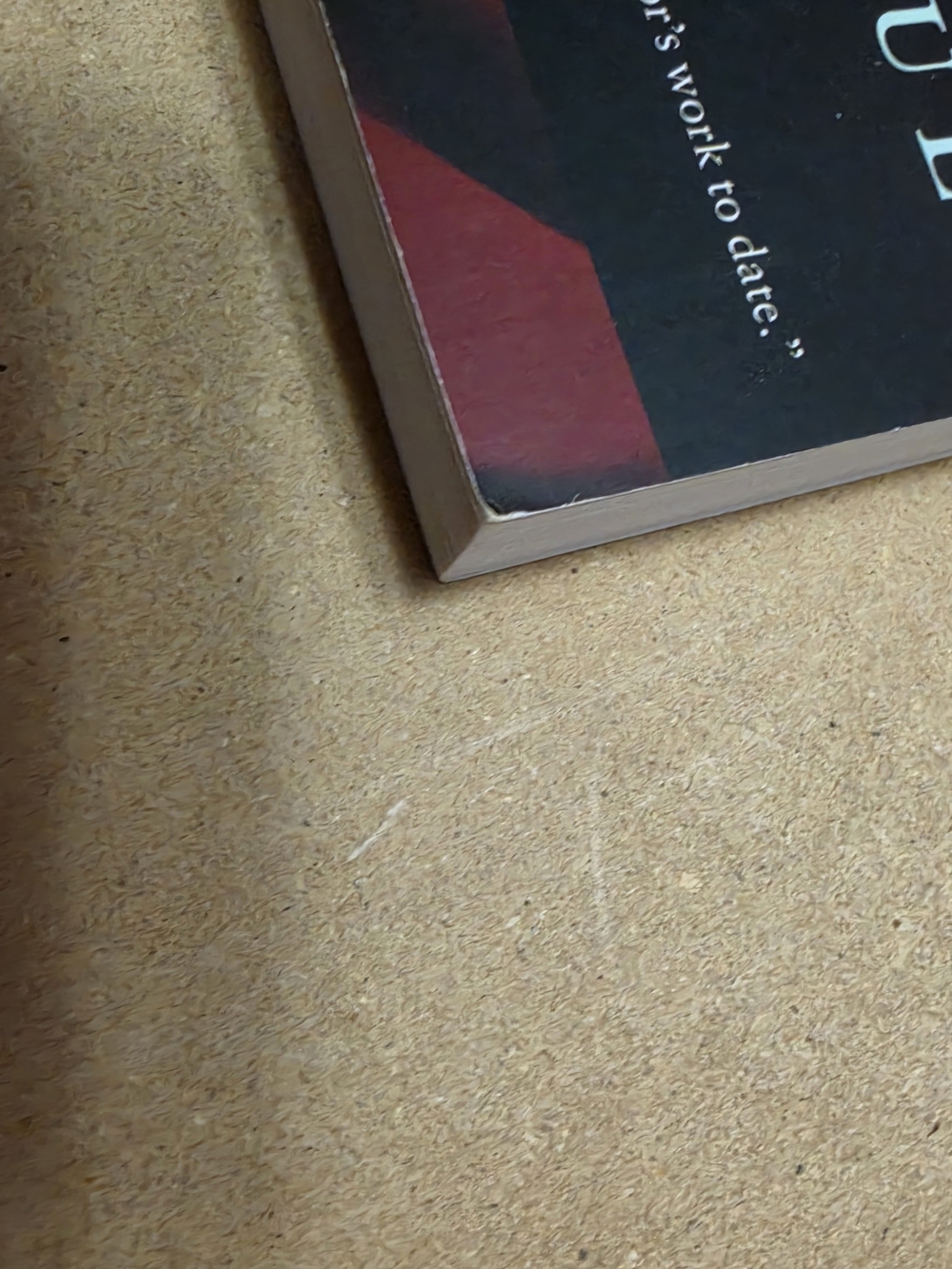 Half a Life – V.S. Naipaul (Vintage Canada Edition, 2002) - Picture 2 of 7